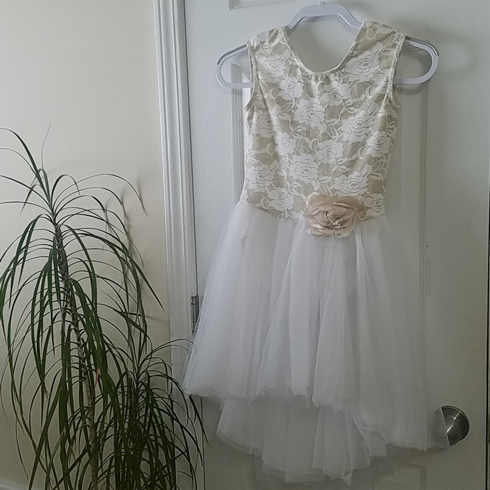 Girls ballet dress